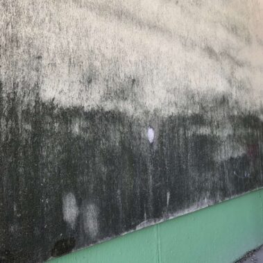 KEISH – Čistenie fasády pomocou fungicídov a vysokotlakovým čističom – Lučenec Rúbanisko 3