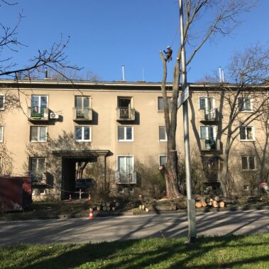 KEISH – Výrub Javora – Verejné obstarávanie mesta Nitra
