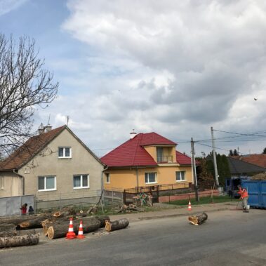 keish-vyrub-topol-nitra-0004