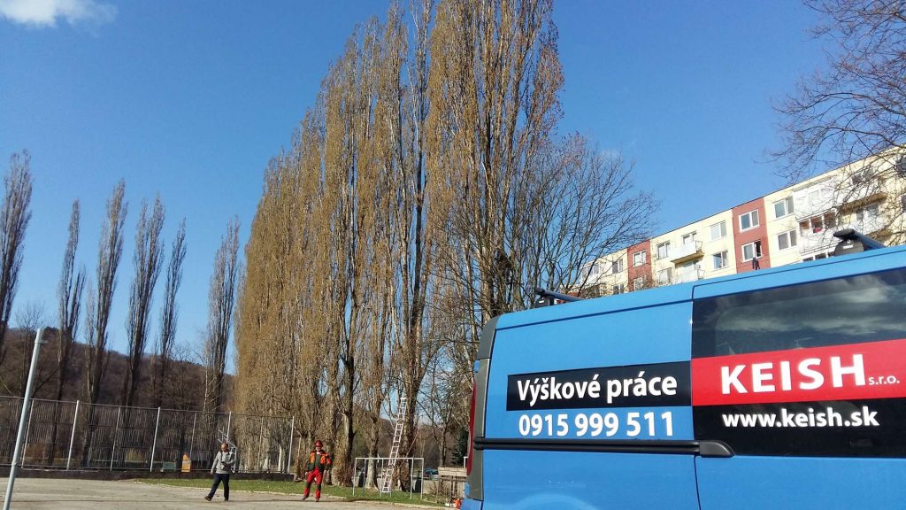 Výrub a likvidácia drevnej hmoty , zákazka mesto Partizánske | KEISH