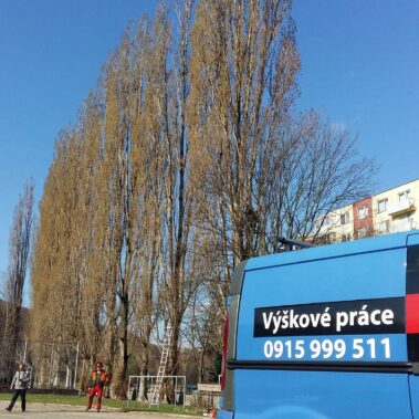 Výrub a likvidácia drevnej hmoty , zákazka mesto Partizánske | KEISH
