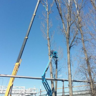 Žiar nad Hronom – Rizikový výrub topoľov so žeriavom a plošinou | KEISH