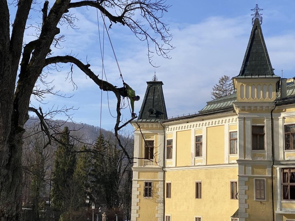 Ošetrenie drevín | KEISH