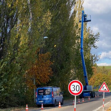 Ošetrenie stromov, Partizánske | KEISH