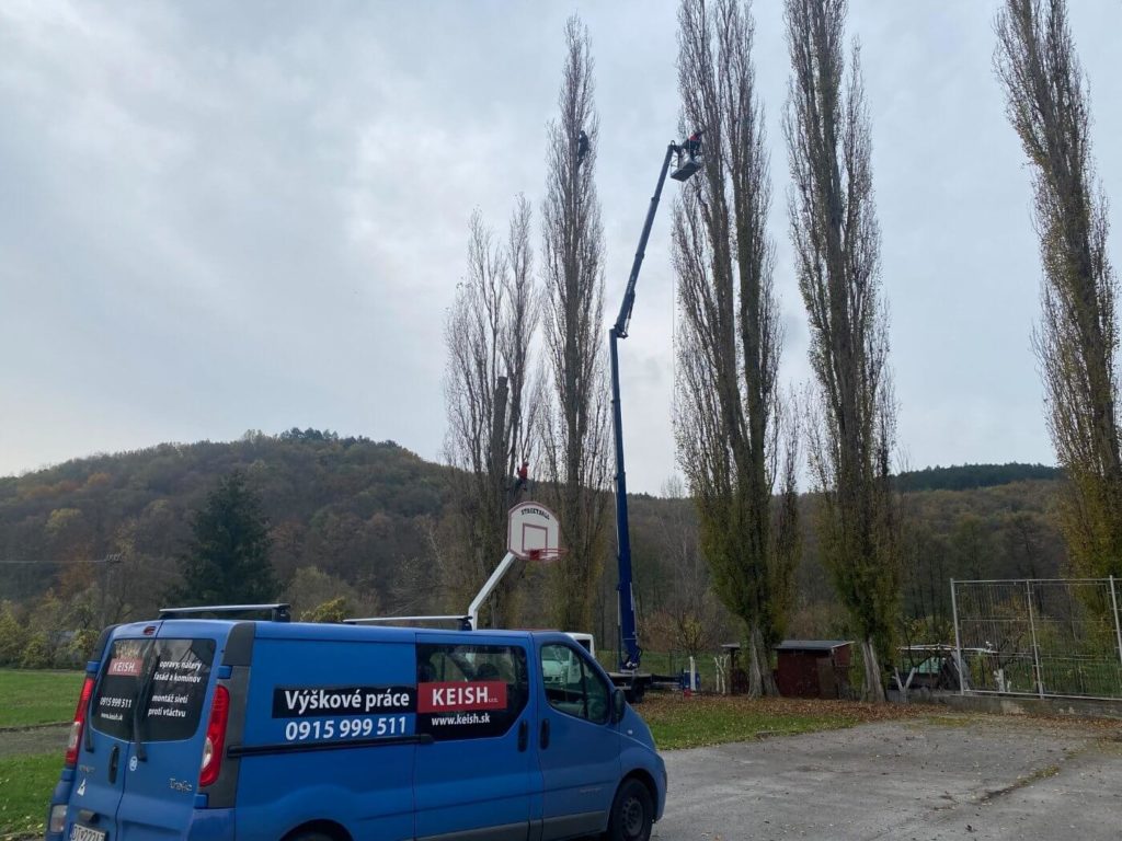 Ošetrenie stromov, Partizánske | KEISH