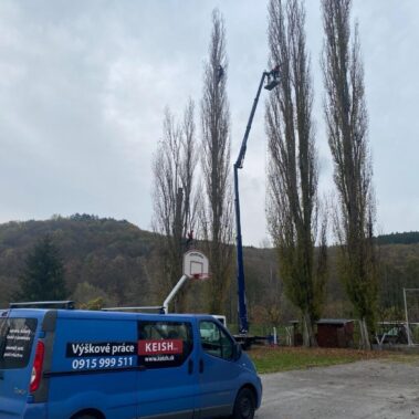 Ošetrenie stromov, Partizánske | KEISH