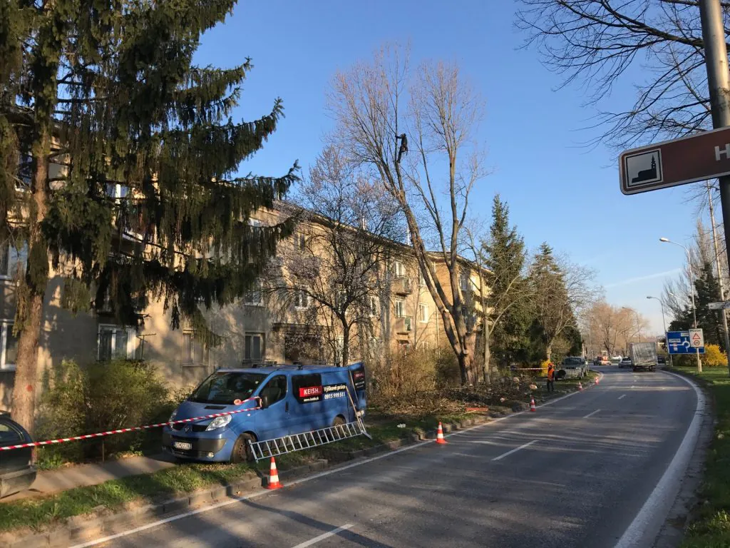 KEISH – Výrub Javora – Verejné obstarávanie mesta Nitra